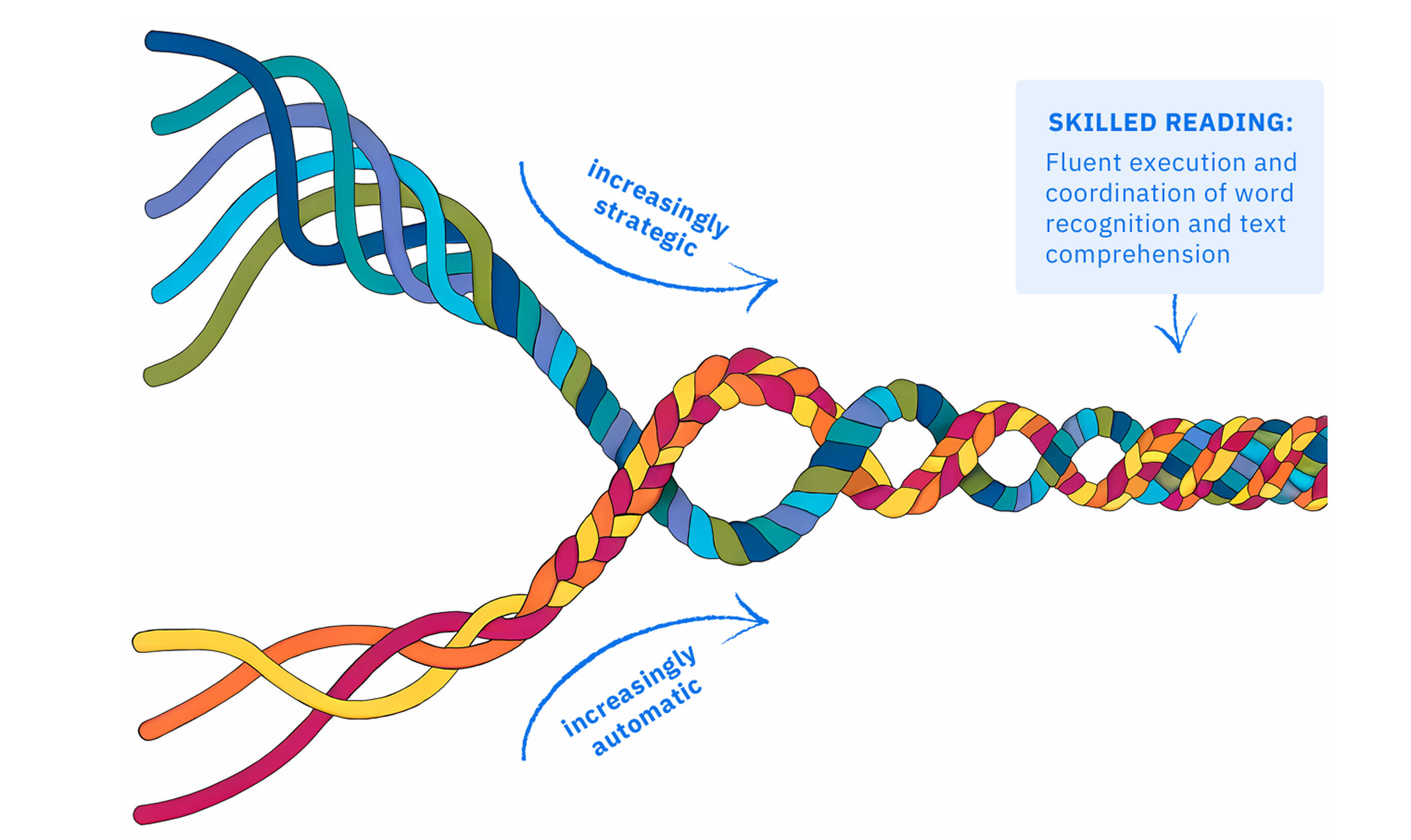 Assessing the woven strands