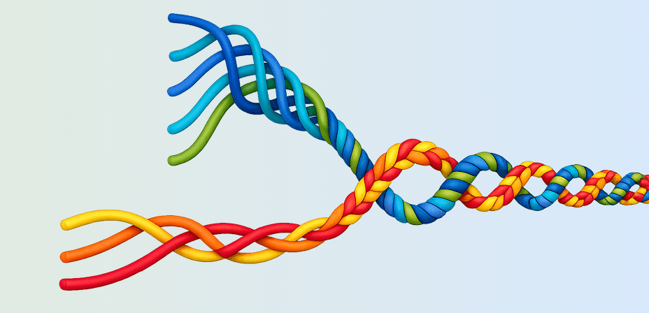 Assessing the Strands of Skilled Reading in Grades 3-12