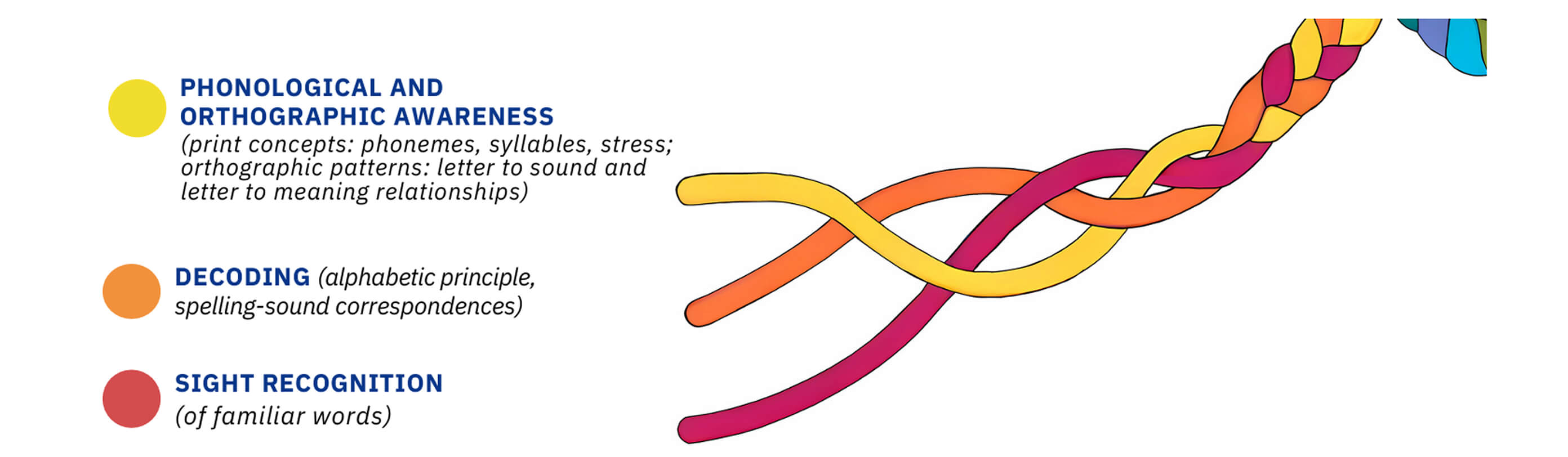 WR / Phonological and Orthographic Awareness