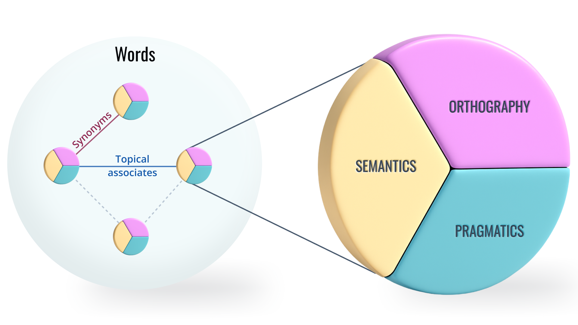 The vocabulary subtest uses two types of items to measure vocabulary knowledge: synonyms and topical associates.