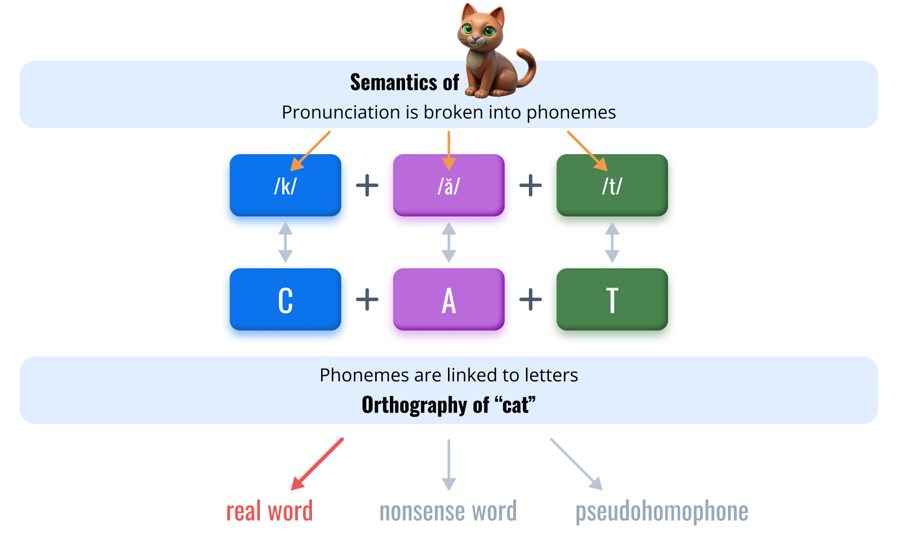 The word recognition and decoding subtest uses three item types: real words, nonsense words, and pseudohomophones.