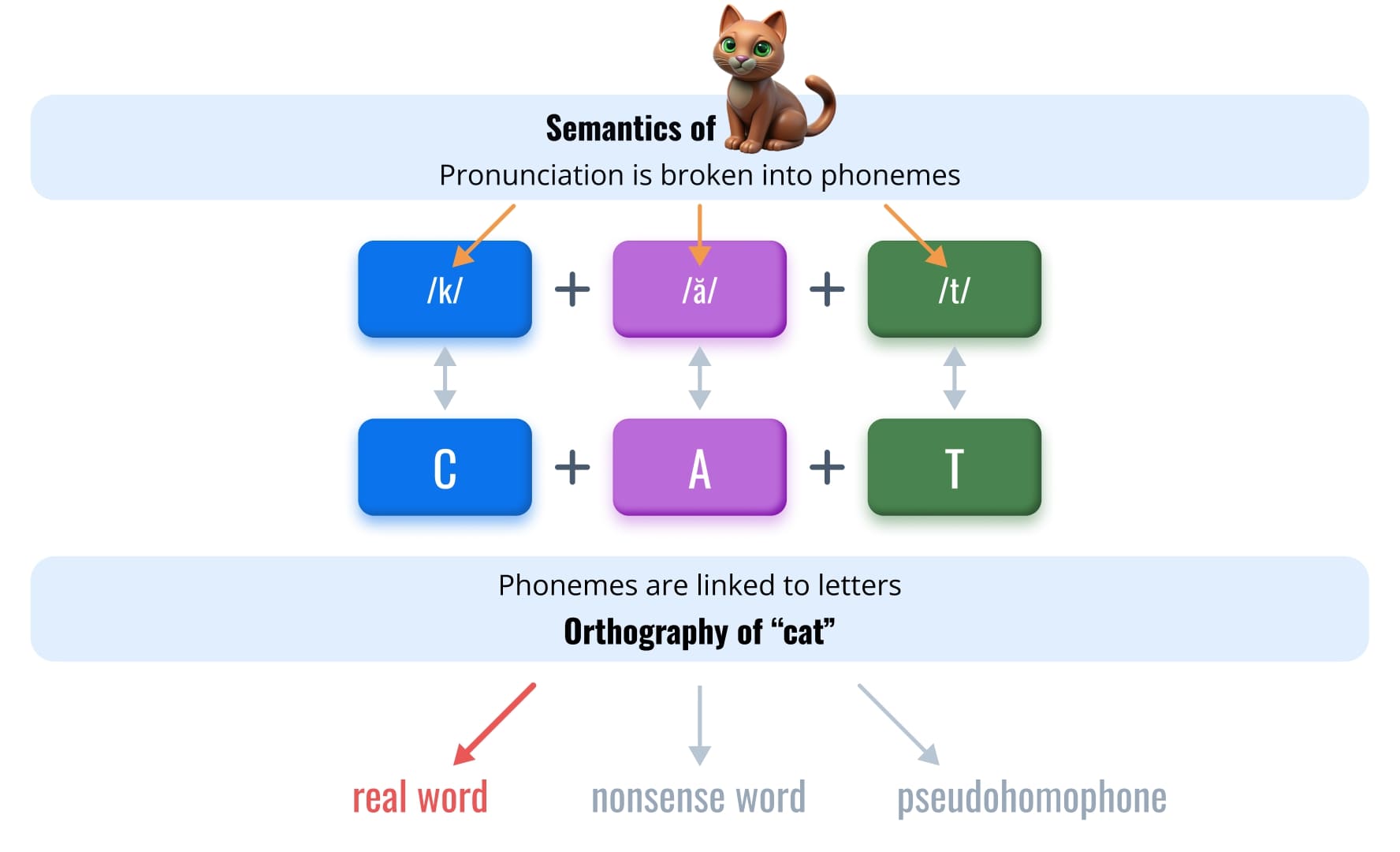 The word recognition and decoding subtest uses three item types: real words, nonsense words, and pseudohomophones.